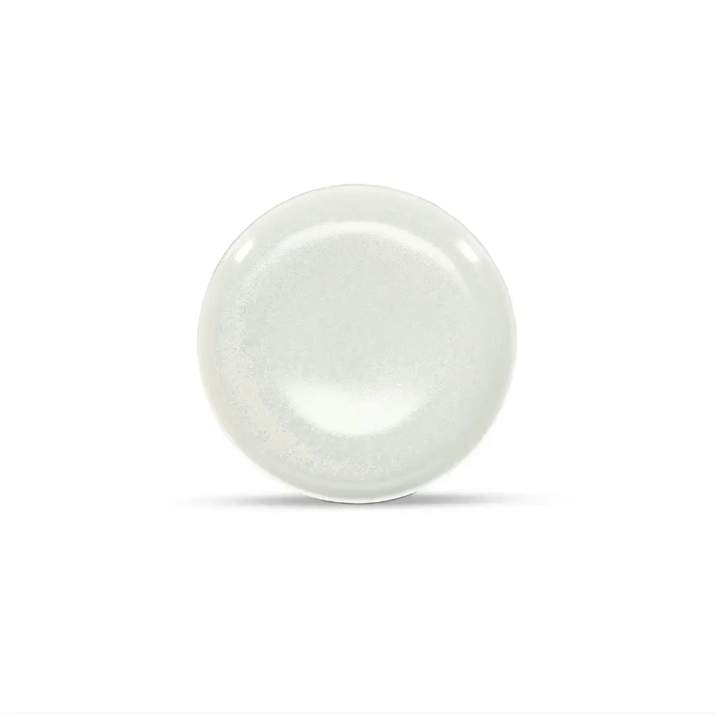 Assiette Frost White Ceres 24cm