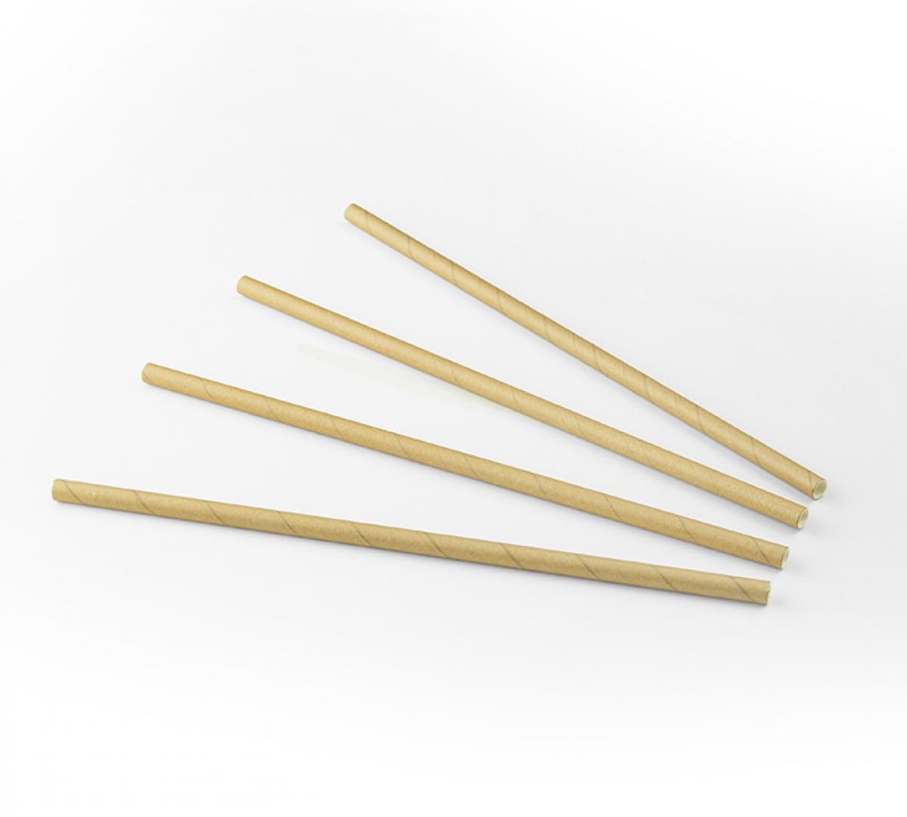 SET 200 PAILLES KRAFT 0.6X20CM