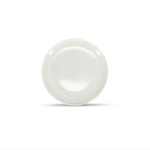 [605205] Assiette Frost White Ceres 24cm