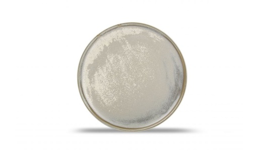 [604402] Assiette plate 22,5cm green Usko