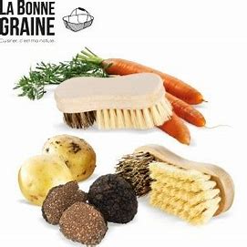 [YC90106] Brosse à légumes et à truffes