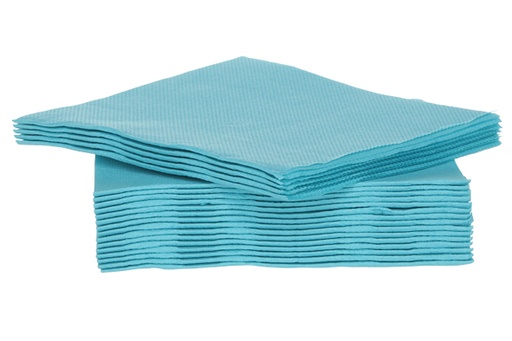 [531638] Set 40 serviettes 25CM turquoise dble pli