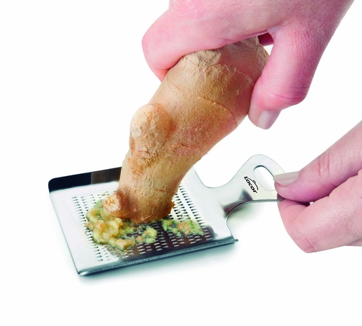 [67032] MINI RÂPE A EPICES INOX