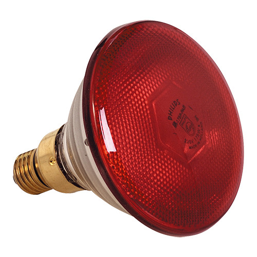 [093500] Lampe chauffante 175W